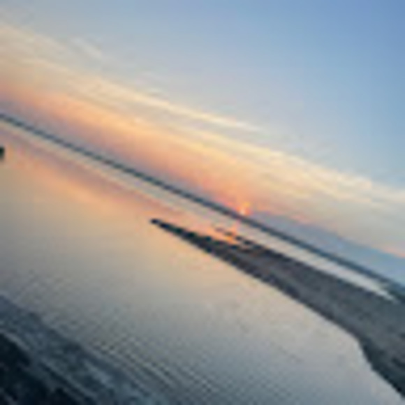 Meet your Posher, Jess - Picture 1 of 1